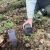 🌳 Waldprojekttag der Klasse 5C 🌳